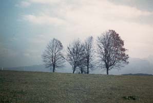 füssenwest